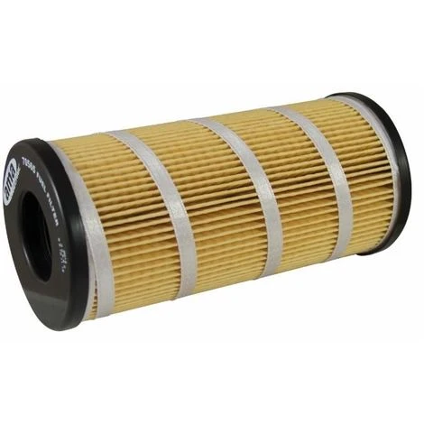 LEM SELECT Filtre à Carburant 26560201 Adaptable LANDINI PERKINS 3 LEM SELECT Filtre à Carburant 26560201 Adaptable LANDINI PERKINS