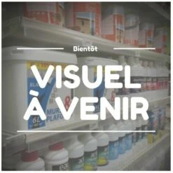 G�N�RIQUE Joint De Prise De Force LONCIN Pour Moteurs LC1P68FB, LC1P70FB. Origine 110830040-0001.