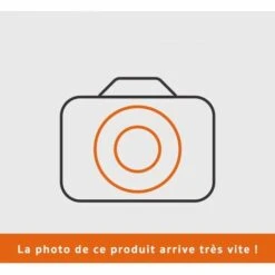 Lanceur Motoculteur Moteur Robin